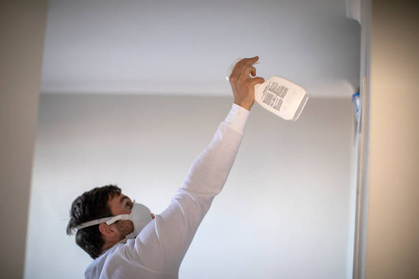 Best Office Mold Removal Services  in Eudora, KS